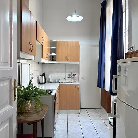 布达佩斯市中心西火车站公寓 *